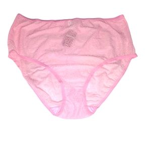 Avenue Body Pink Semi Sheer High Waist Panties Size 22/24 2 Pair